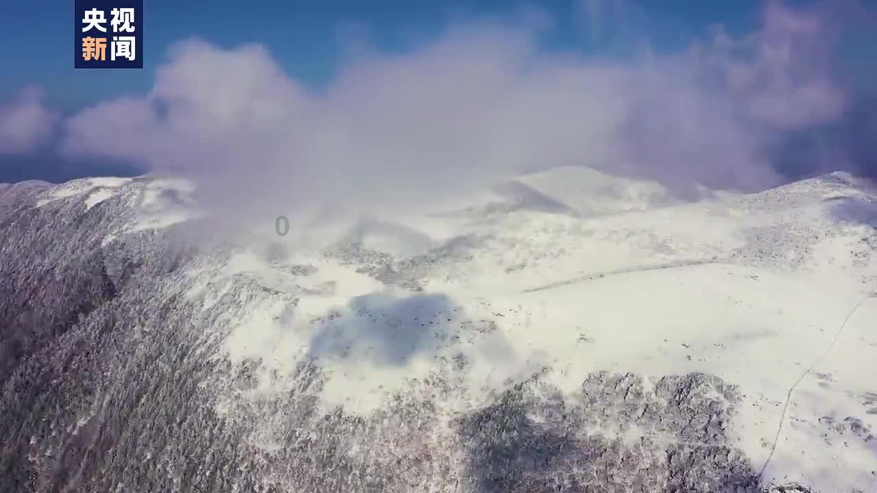 金庸群侠传5